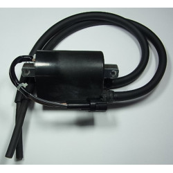Bobine d'allumage TOURMAX...