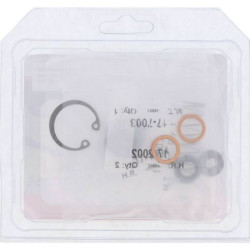 Kit réparation de maître cylindre Beta 125 / 250 / 300 RR