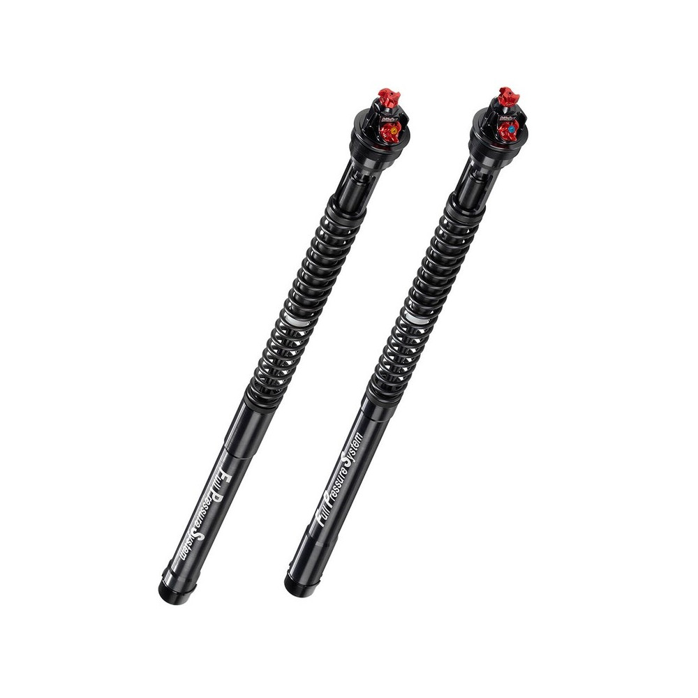 Cartouche BITUBO RSV4R 09-13