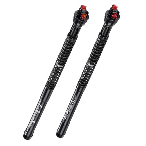 Cartouche BITUBO RSV4R 09-13