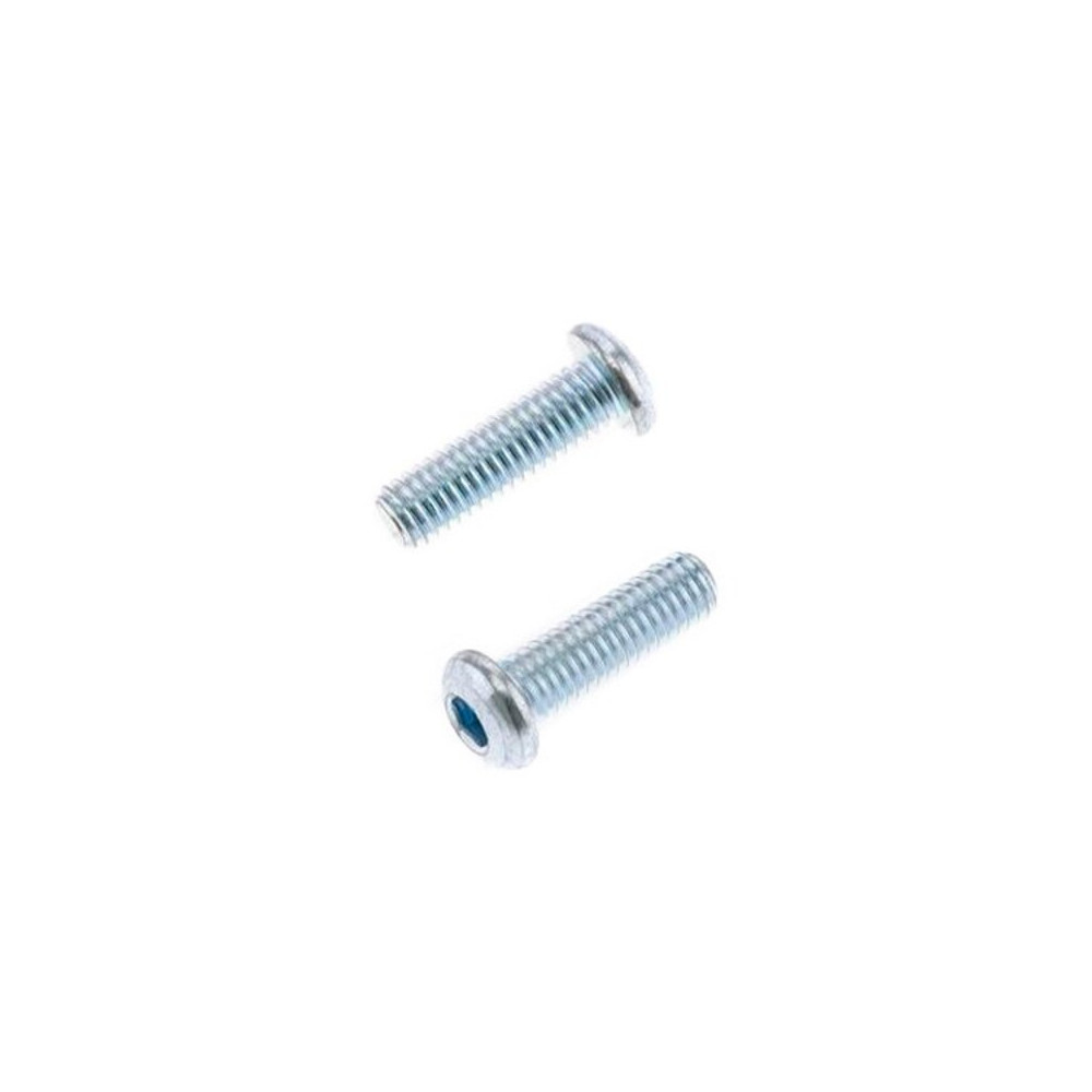 Vis tête bombée épaisse BOLT M6x1x20mm 10 pièces