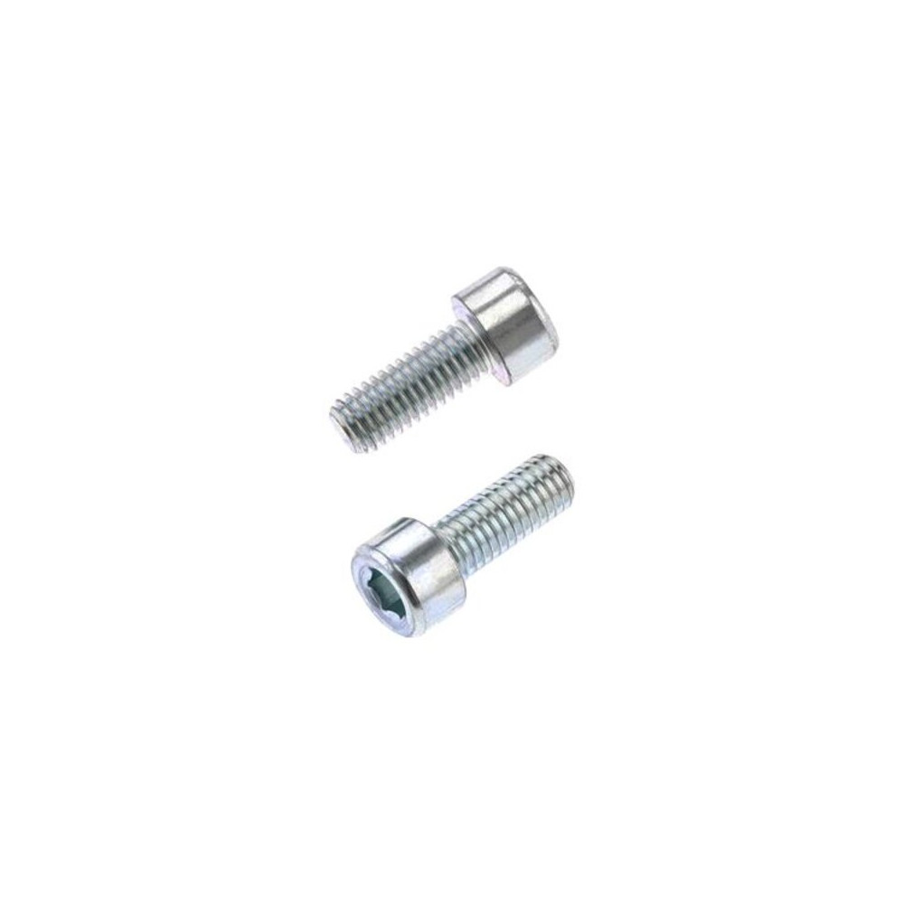 Vis CHC BOLT M8x1,25x20mm 10 pièces
