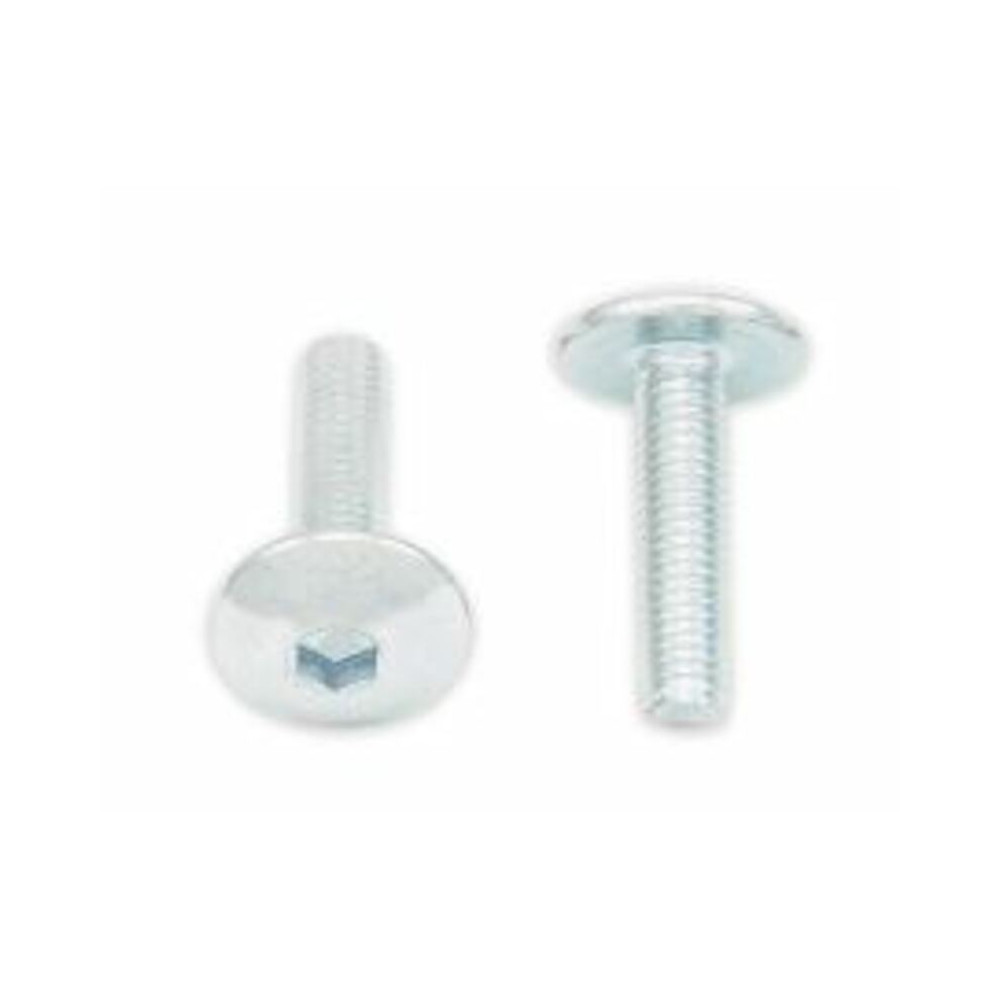 Vis tête bombée plate BOLT M5x0,80x20mm 10 pièces