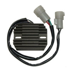 Régulateur ELECTROSPORT -...