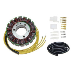 Stator ELECTROSPORT -...