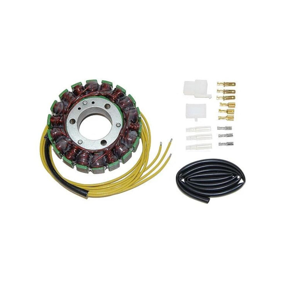 Stator ELECTROSPORT - Suzuki GZ250