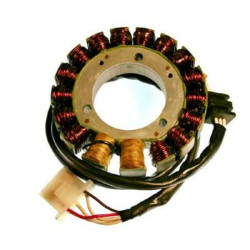 Stator ELECTROSPORT -...