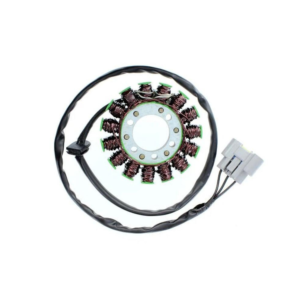 Stator ELECTROSPORT - BMW S1000R