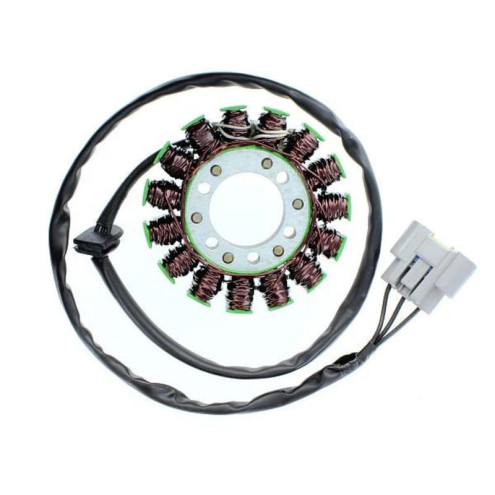 Stator ELECTROSPORT - BMW S1000R
