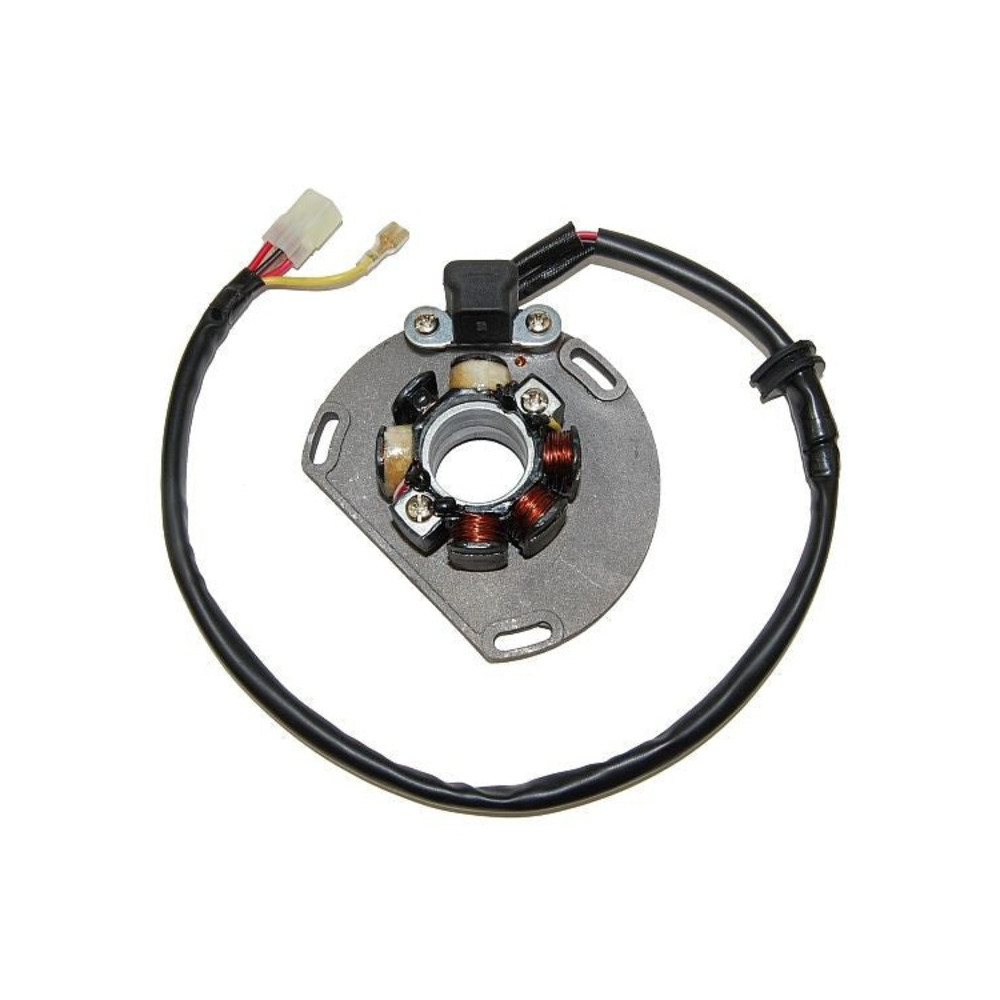 Stator avec bobine d'éclairage ELECTROSPORT - KTM