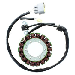 Stator ELECTROSPORT -...