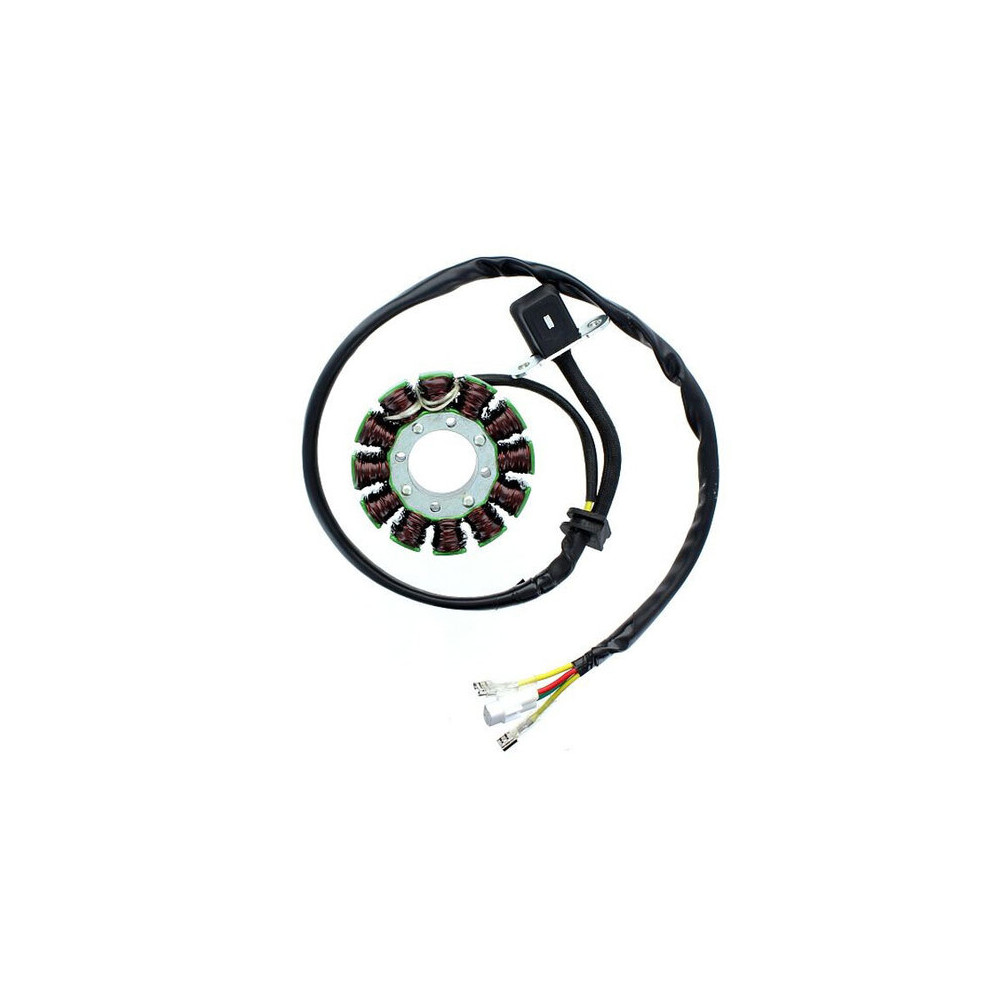 Stator ELECTROSPORT