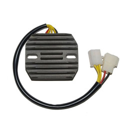Régulateur ELECTROSPORT