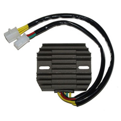Régulateur ELECTROSPORT