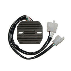 Régulateur ELECTROSPORT