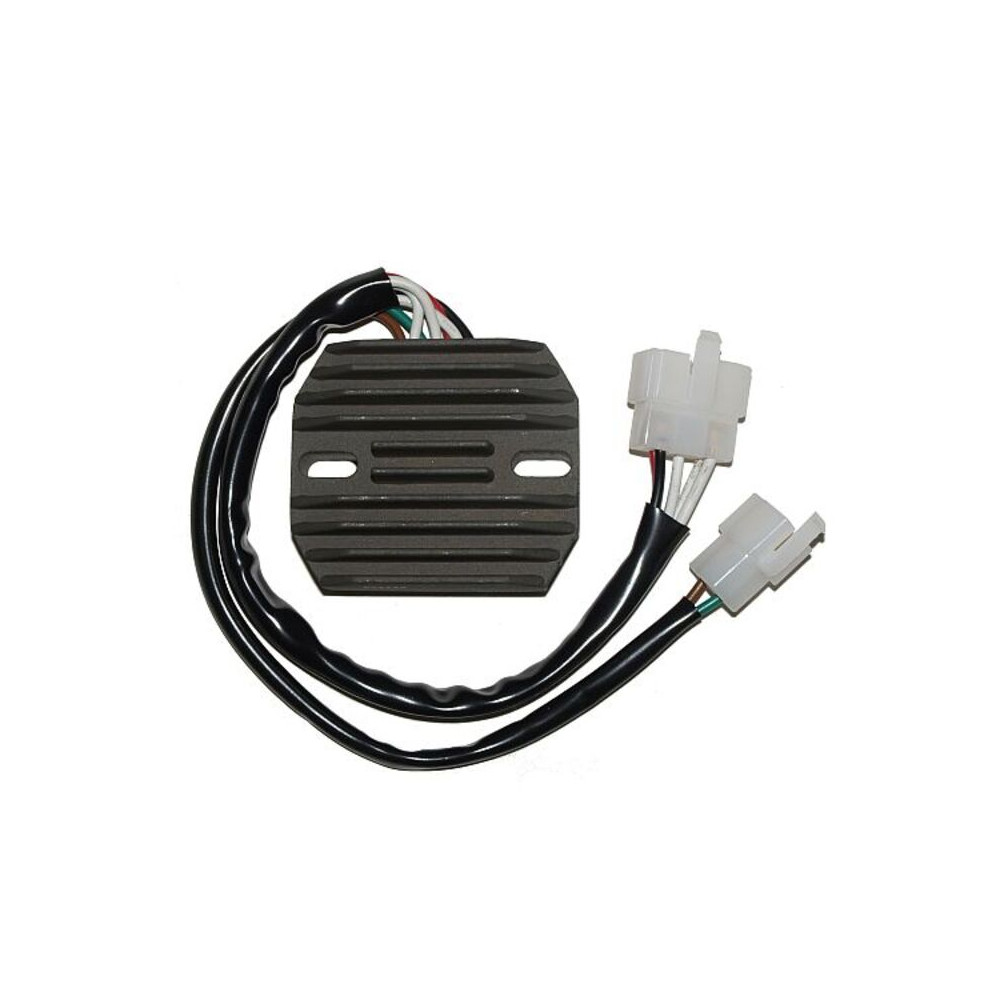 Régulateur ELECTROSPORT