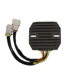 Régulateur ELECTROSPORT