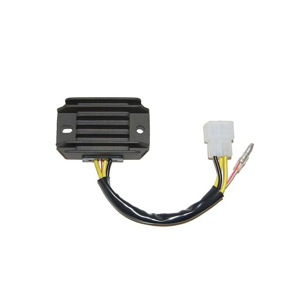 Régulateur ELECTROSPORT
