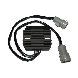 Régulateur ELECTROSPORT