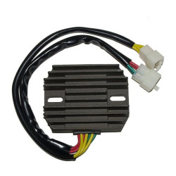 Régulateur ELECTROSPORT