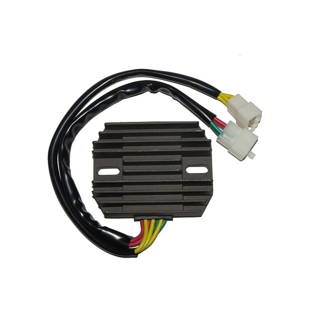 Régulateur ELECTROSPORT