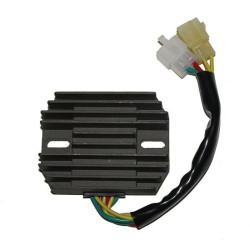 Régulateur ELECTROSPORT