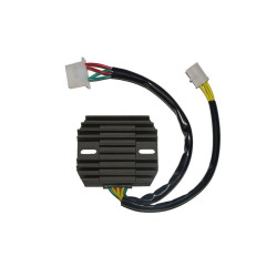 Régulateur ELECTROSPORT