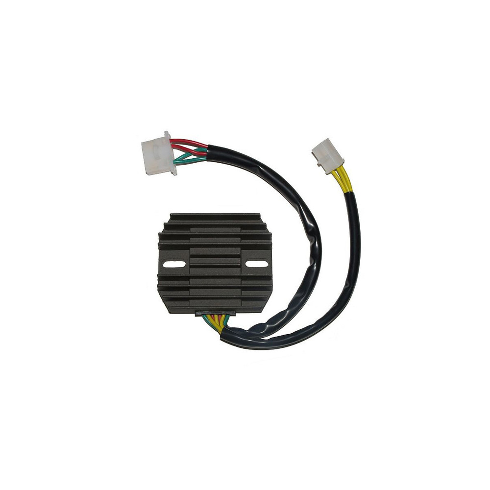 Régulateur ELECTROSPORT