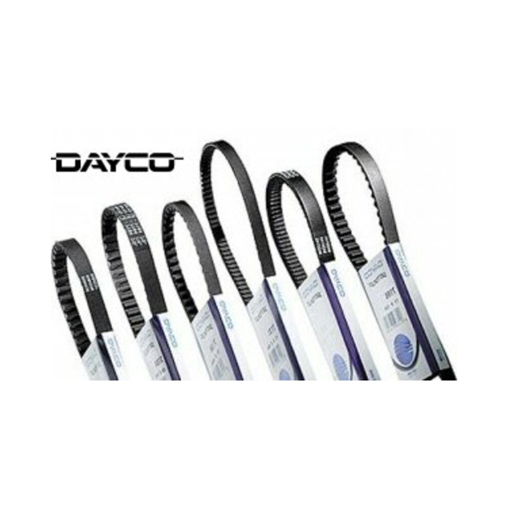 Courroie de transmission DAYCO standard