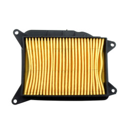 Filtre à air TECNIUM -...