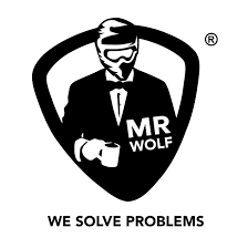 MR-WOLF